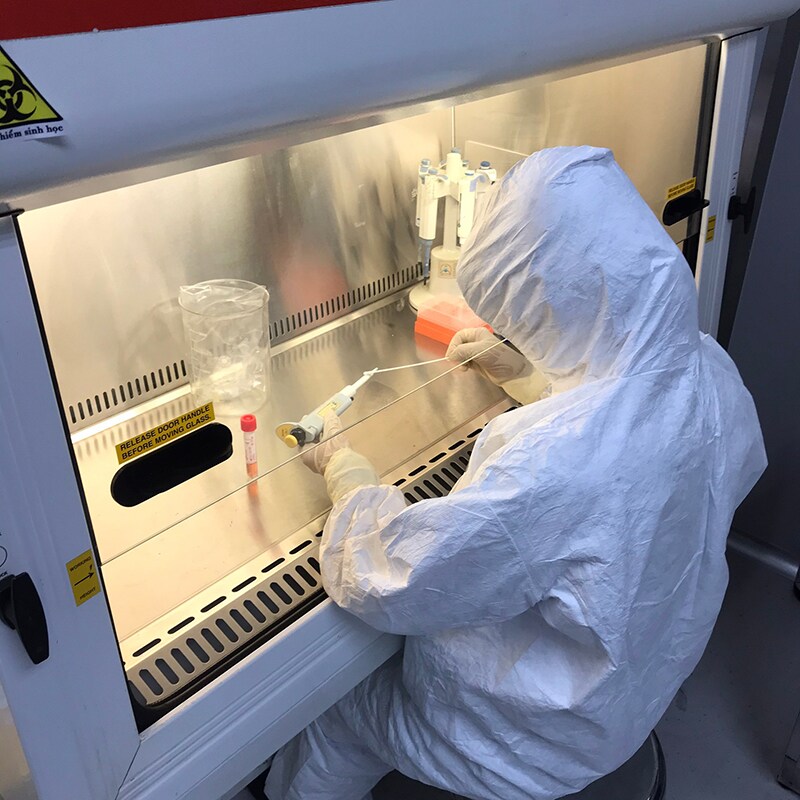 Taking a sample from a pipette surface used in a Class II biosafety cabinet at the Pasteur Institute of Nha Trang (PINT) laboratory. Photo Credit: Mr. Truong Tien Dat.