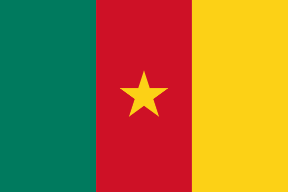 Cameroon country flag