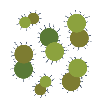 Illustration of Gonorrhea
