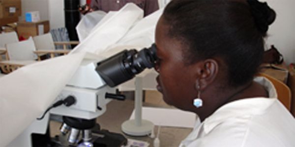 Malaria case study examples picture