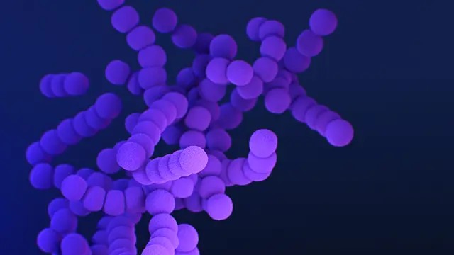 Computer-generated image of GAS.