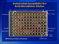 Antimicrobial Susceptibility Test Broth Microdilution Dilution