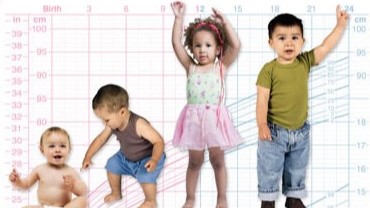 Who Cgs Training Module: Using WHO Child Growth Standards | Growth Chart ...