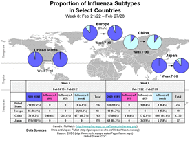 This picture depicts a map of the world that shows the co-circulation of 2009 H1N1 and seasonal influenza viruses. The United States, Europe, Japan and China are depicted. There is a pie chart for each that shows the proportion of laboratory-confirmed influenza cases that have tested positive for either 2009 H1N1 influenza or other influenza subtypes. The majority of laboratory-confirmed influenza cases reported in the United States, Europe, and Japan have been 2009 H1N1influenza.
