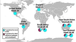 This is a map of the world that shows the co-circulation of novel influenza A (H1N1) and seasonal influenza viruses. Seven countries are featured, including Canada, Brazil, Chile, England, South Africa, Australia (New South Wales) and New Zealand. For each of these countries, there is a pie chart that shows the percentage of laboratory confirmed influenza cases that have tested positive for either novel H1N1 flu or other influenza subtypes. Other influenza subtypes are being reported more commonly in the countries within the Southern Hemisphere because the flu season has already started there. South Africa and New South Wales, Australia have an asterisk next to them because the seasonal influenza strains that are circulating in these countries are mostly H3 subtype influenza viruses.