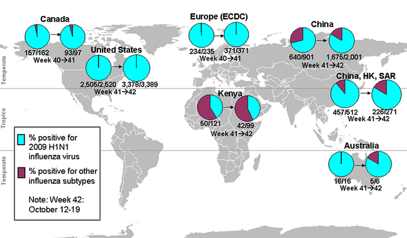 This picture depicts a map of the world that shows the co-circulation of 2009 H1N1 flu and seasonal influenza viruses. The United States, Canada, Europe, Australia, Kenya, China and Hong Kong (China) are depicted. There is a pie chart for each that shows the percentage of laboratory confirmed influenza cases that have tested positive for either 2009 H1N1 flu or other influenza subtypes. The majority of laboratory confirmed influenza cases reported in the United States, Canada, Europe, Australia, Kenya, China and Hong Kong (China) have been 2009 H1N1 flu.

 
