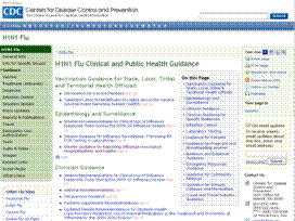 Picture of the CDC 2009 H1N1 web page that lists all of the 2009 H1N1 guidance documents