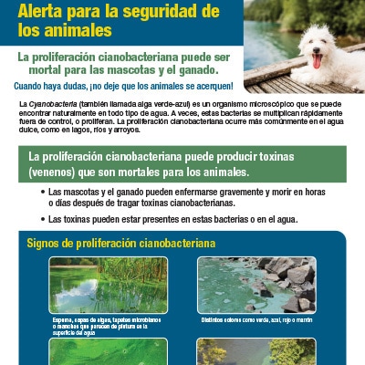 Tarjetas para imprimir con información para los dueños de animales, proveedores de atención médica y veterinarios