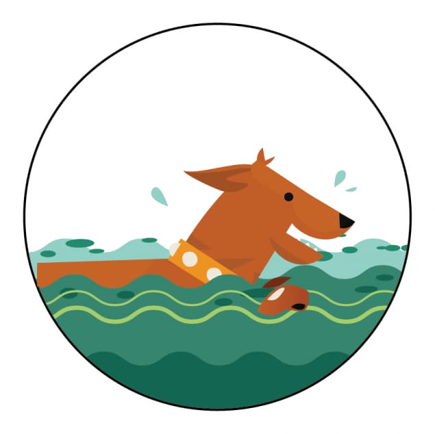 Illustration of dog swimming