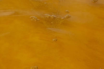 Orange water from signs of algal blooms