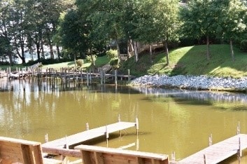 Residential dock with brownish water from cyanobacterial bloom