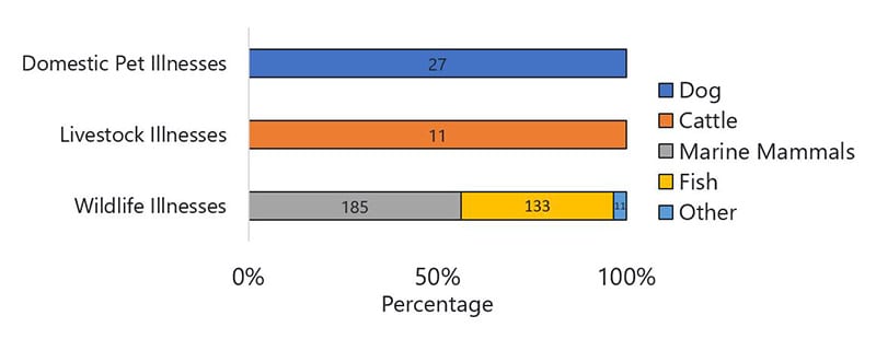 Figure 13 is a bar chart showing the types of animals that were reported ill during 2019, in the categories of domestic pets, livestock, and wildlife.