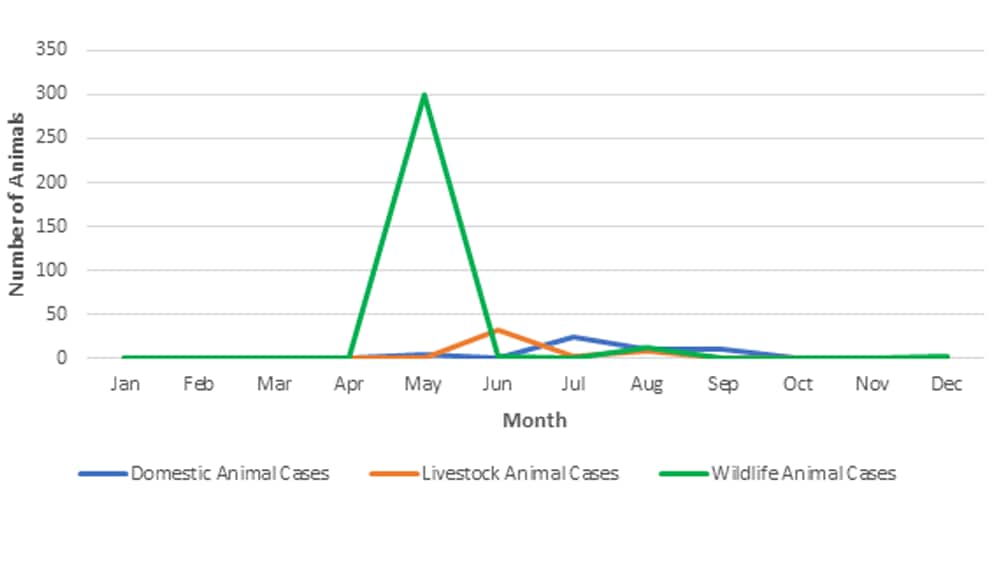 Graph showing reported HAB event and case occurrence by month; HABs occurred May to November, with domestic animal cases spiking in July, wildlife animal cases spiking in May, and livestock animal cases spiking in June.