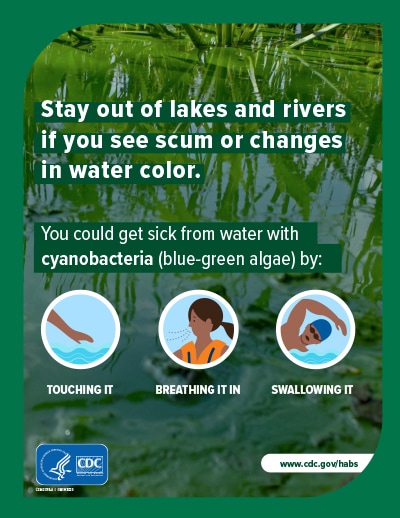 Stay out of lakes and rivers if you see scum or changes in water color.