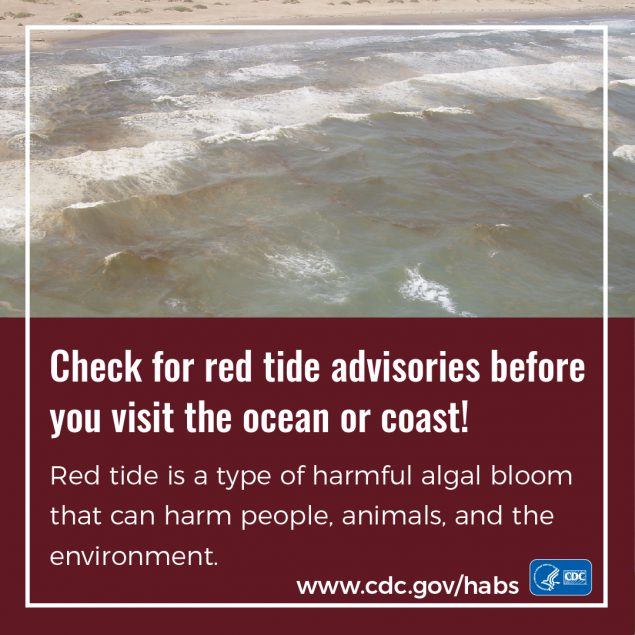 Check for red tide advisories before you visit the ocean or coast! Red tide is a type of harmful algal bloom that can harm people, animals, and the environent. www.cdc.gv/habs