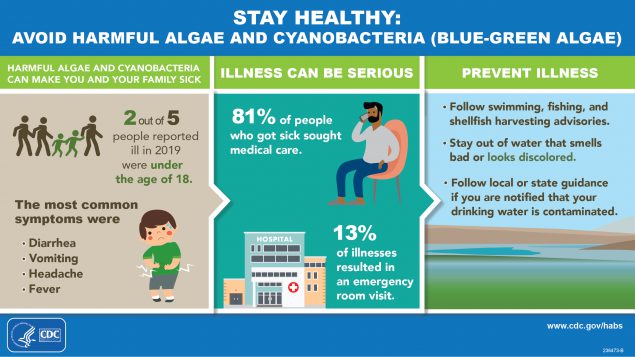 Stay Healthy: Avoid harmful algae and cyanobacteria (blue-green algae)
