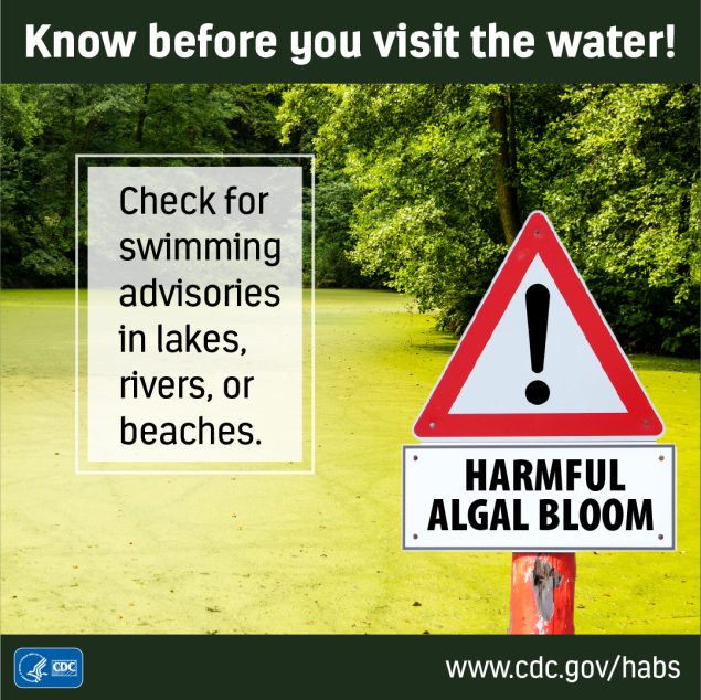Know before you visit the water! Check for swimming advisories in lakes, rivers or beaches. Harmful algal bloom warning sign