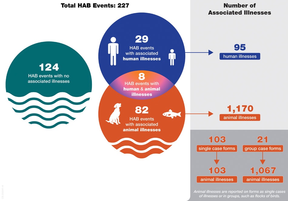 29 HAB events were associated with human illnesses and 82 HAB events were associated with animal illnesses.