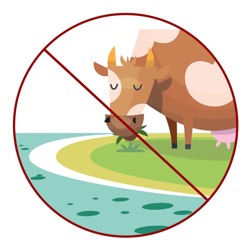 Graphic of a cow with a Do not eat near water crossed over it 