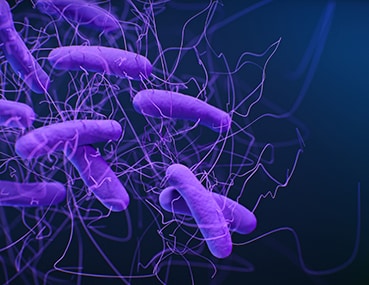C. diff can cause infections in people who have recently taken antibiotics.