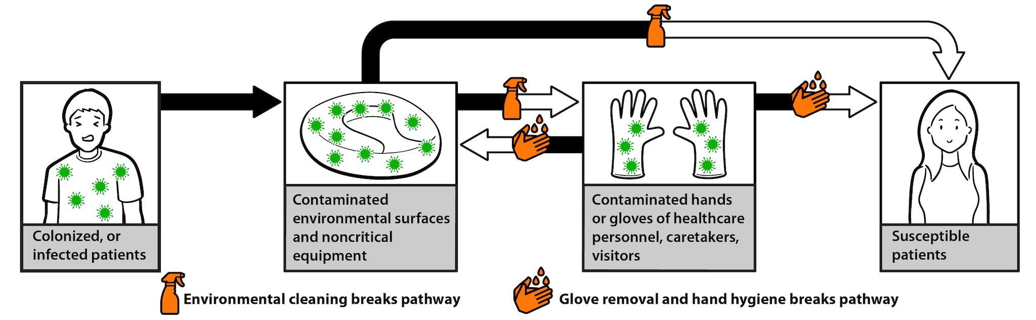 Germs can spread by direct or indirect contact from surfaces or healthcare worker's hands.