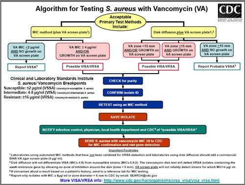 Vancomycin-Intermediate/Resistant Staphylococcus aureus Laboratory Testing Algorithm