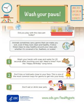 Wash Your Paws! class poster
