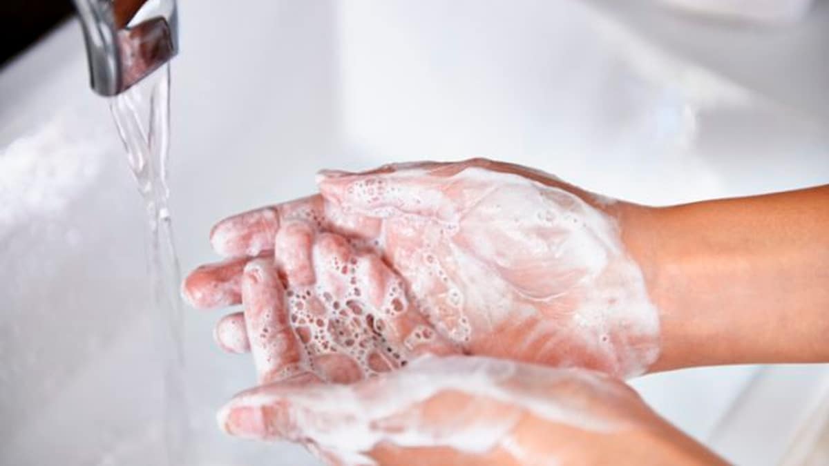 Cuándo y cómo lavarse las manos | El lavado de las manos | CDC