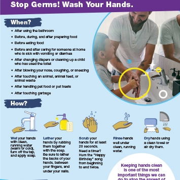Handwashing fact sheet