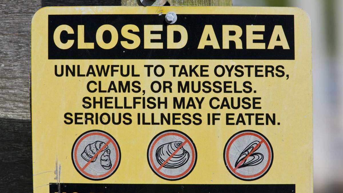 Metal sign posted to a wooden post that says, "Closed area. Unlawful to take oysters, clams, or mussels. Shellfish may cause serious illness if eaten."  The sign shows illustrations of an oyster, clam, and mussel with a red slash through each.