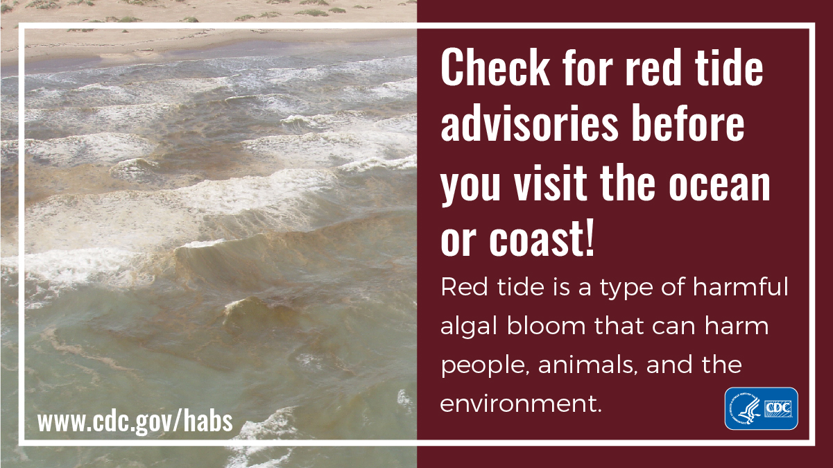 Check For Red Tide Advisories Graphic | Harmful Algal Bloom (HAB ...