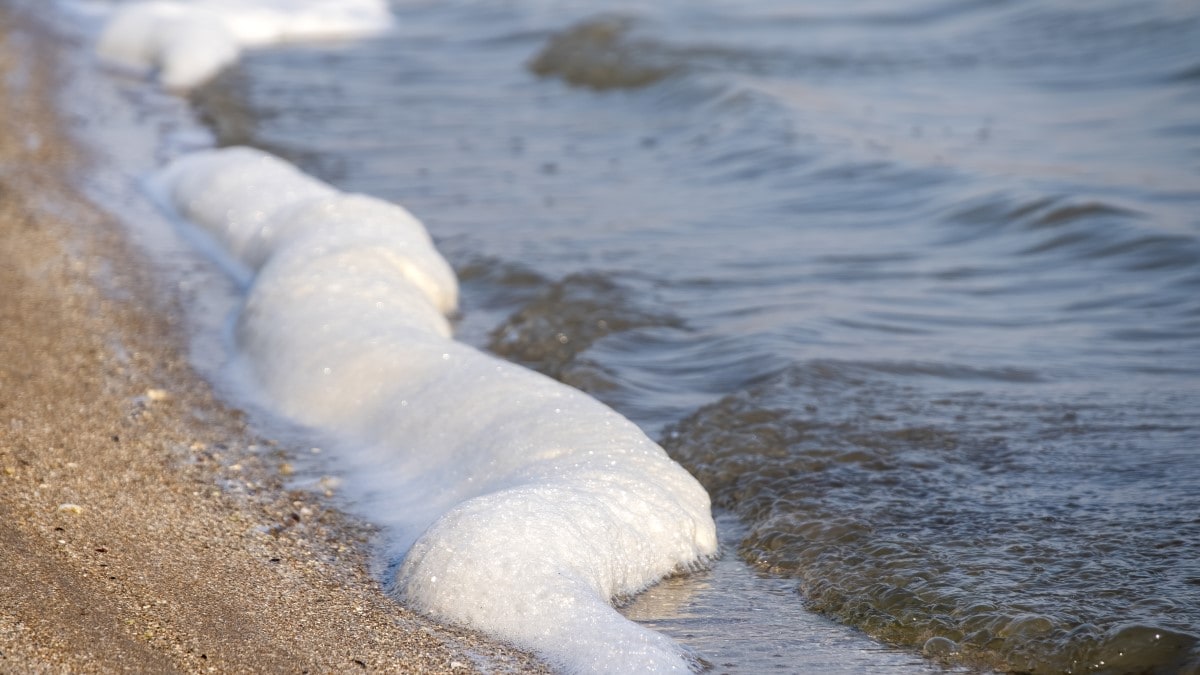 Close-up of sea foam along a sandy shore