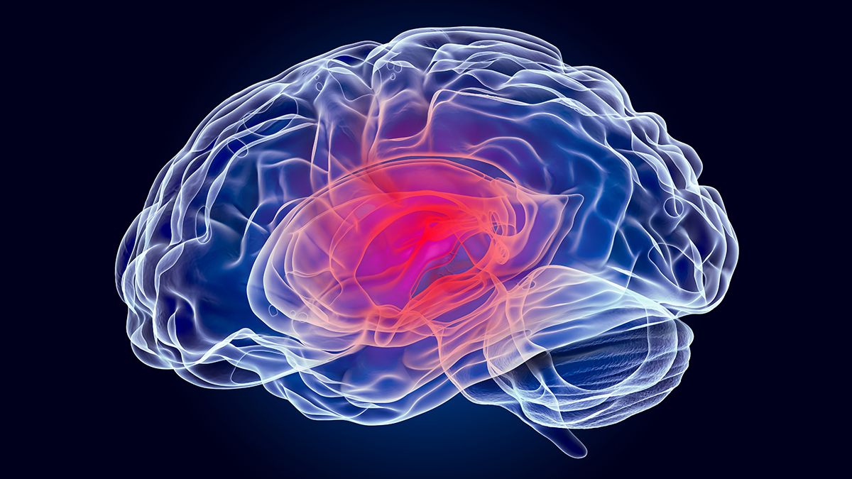 Concussion Basics | HEADS UP Concussion Basics | HEADS UP