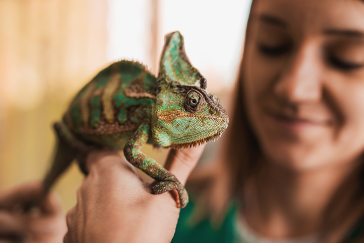 Girl holding lizard in her hands