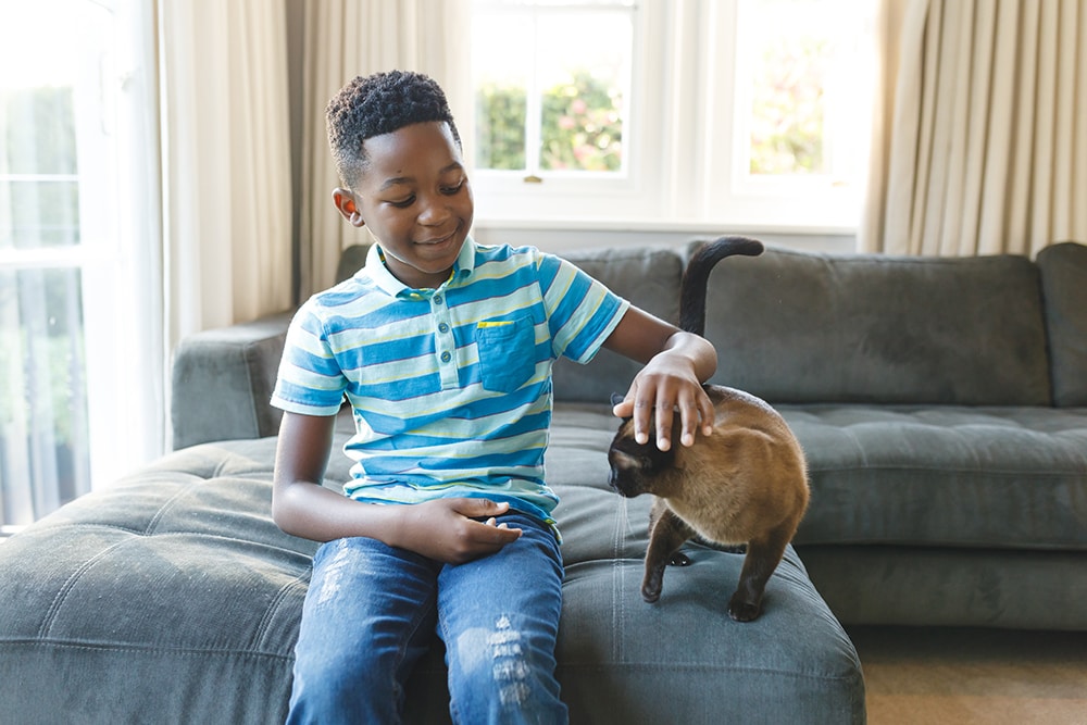 Boy sitting on couch and petting his cat in sunny living room.