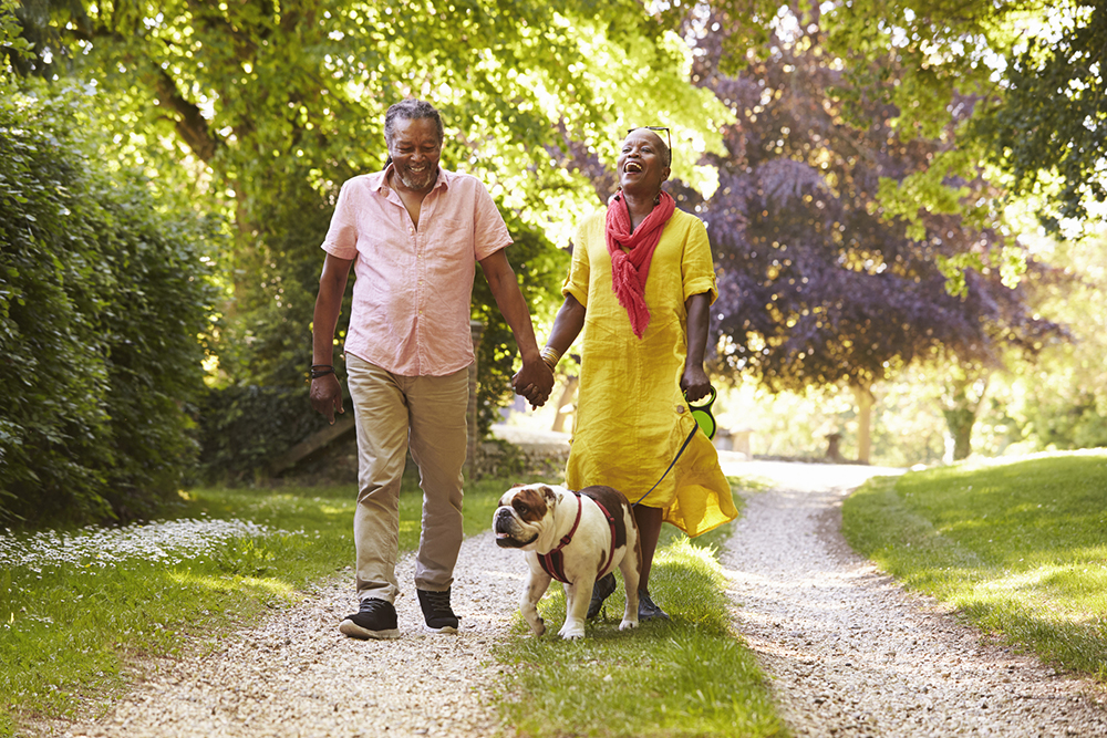 Older adult couple walking pet dog on a leash and holding hands.