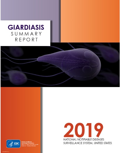 Cover for 2019 Giardiasis report of purple, white, and orange blocks with microscopic image of Giardia