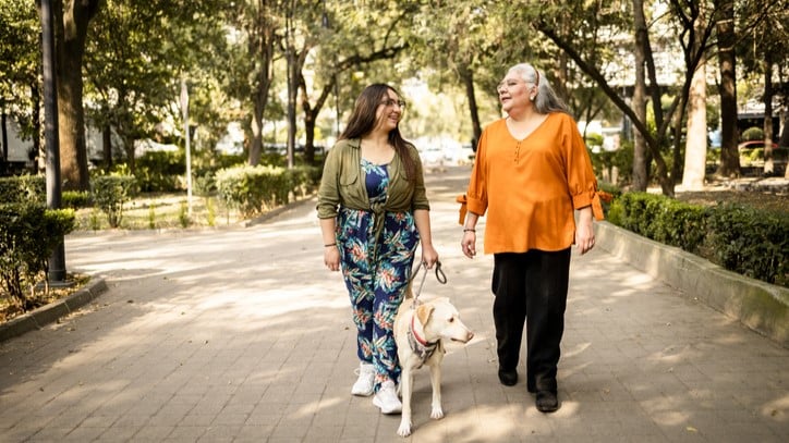 A photo of two women walking a dog through a park.