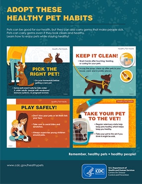 Publications Infographic cover for Adopt These Healthy Pet Habits