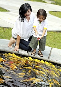 Mother supervises child feeding fish in an outdoor pond.