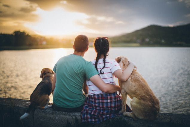 couple sitting in front of lake with two dogs
