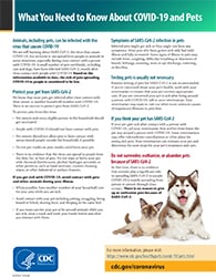 What You Should Know about COVID-19 and Pets | Healthy Pets, Healthy People  | CDC