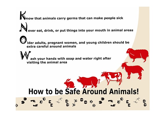 Know How to be Safe Around Animals cover