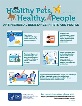 Antibiotic Resistance in pets and people poster