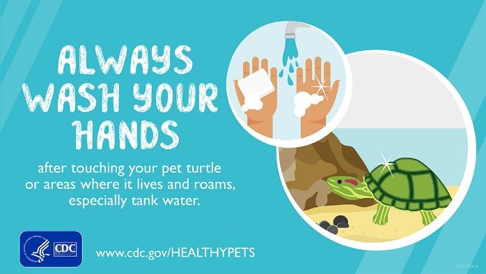 Always Wash Your Hands after touching pet turtle banner