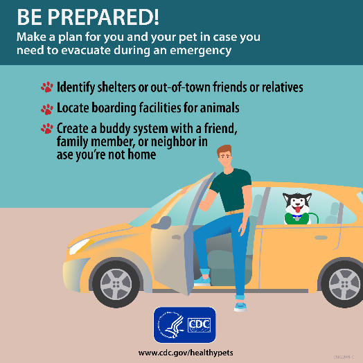 Know How to Protect Your Pet During a Natural Disaster | Healthy Pets,  Healthy People | CDC