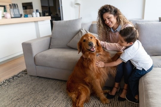 A mom and son petting a dog