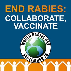 End Rabies: collaborate, vaccine for World Rabbies Day Sept. 28