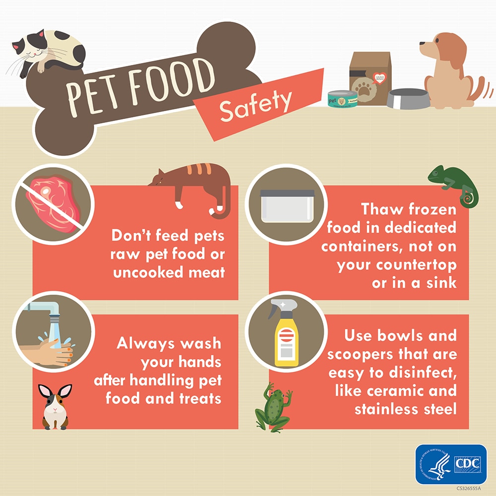 Pet Food Safety Infographic