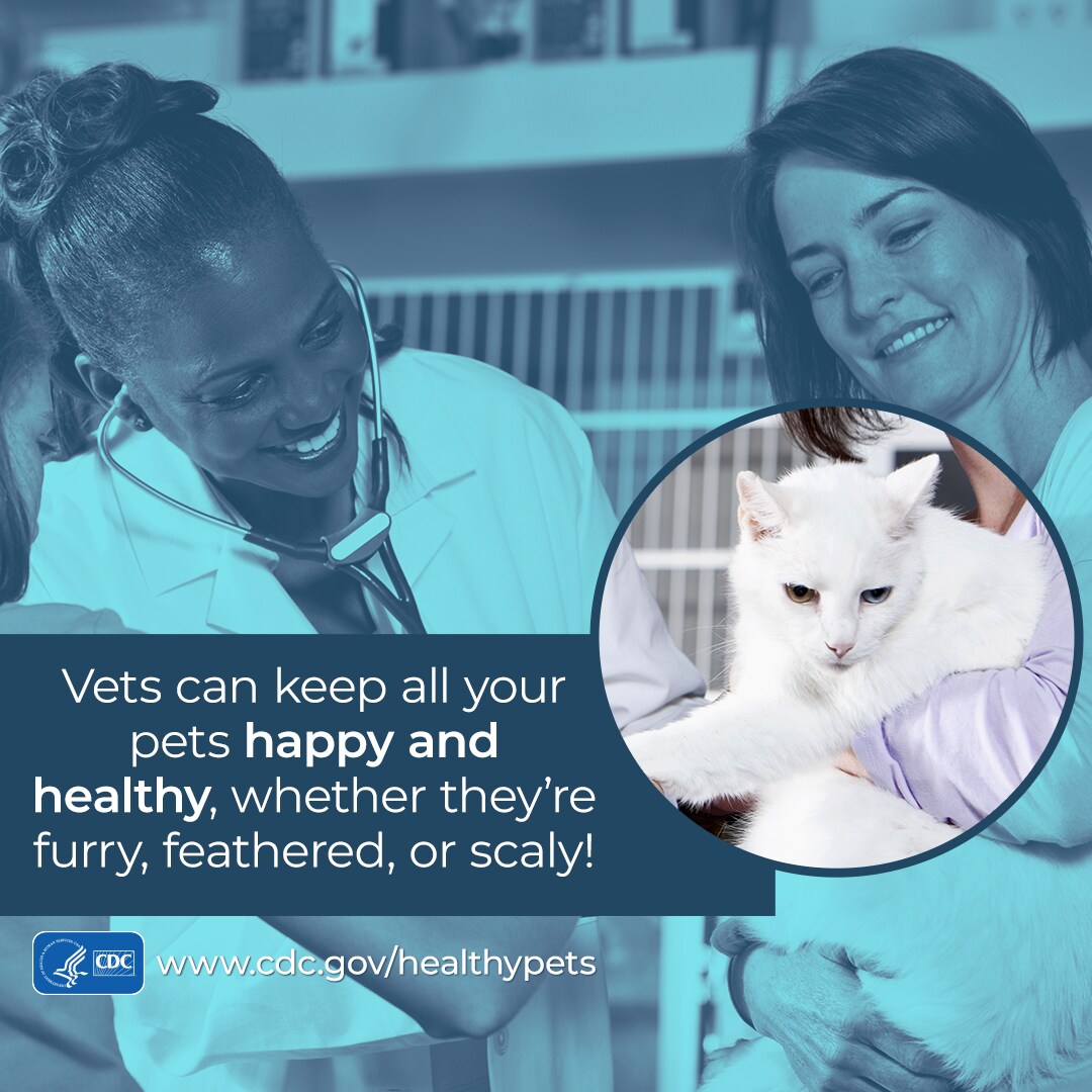Pet Week: Vets can keep all your pets happy, healthy, whether they're furry, featured, or scaly.